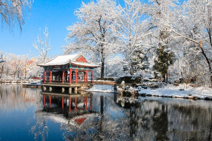 20250423-114 周年校庆｜清华大学离退休教职工书画作品展和摄影作品展开幕-段鸿杰-作品名称：《校园雪韵》作者：费润升.png