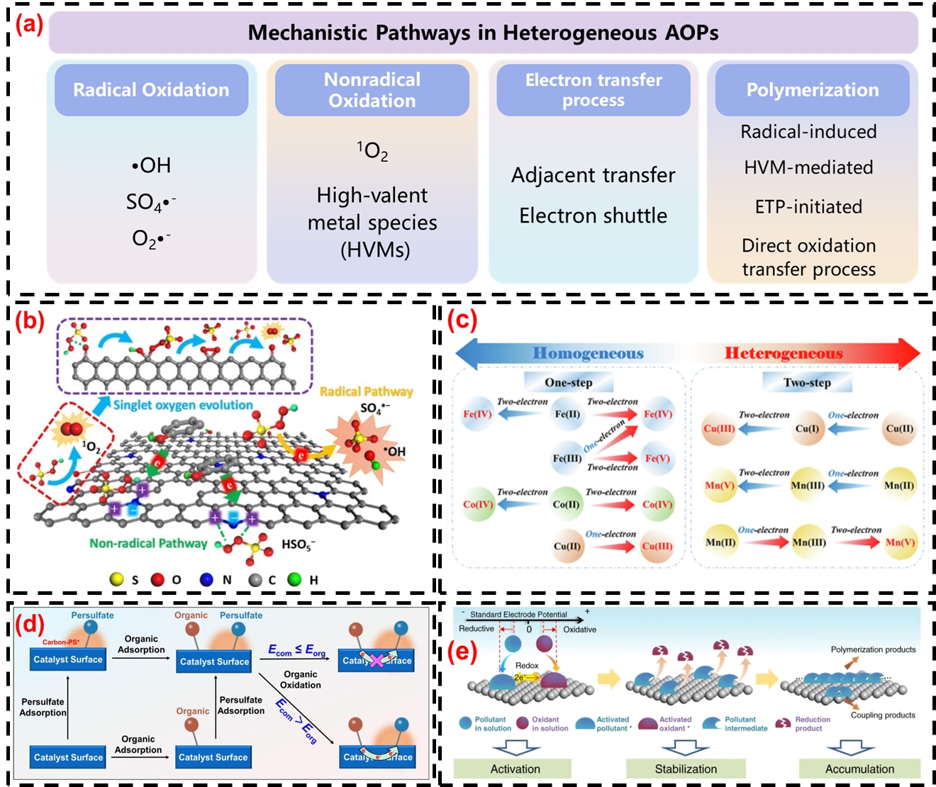 Figure.2.jpg Figure.2.jpg